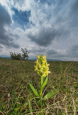 BUITEN BEELD Foto: 321178
