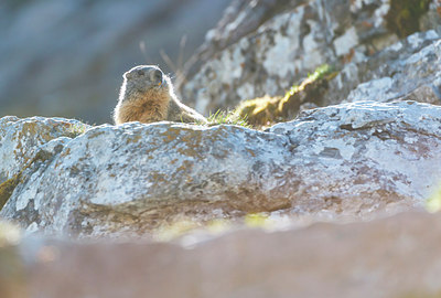 BUITEN BEELD Foto: 321286