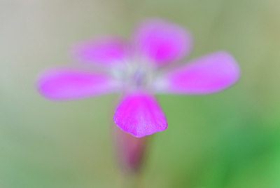 BUITEN BEELD Foto: 321447