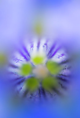 BUITEN BEELD Foto: 321631