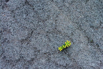 BUITEN BEELD Foto: 321689