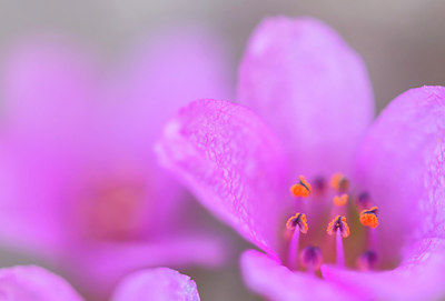 BUITEN BEELD Foto: 321716
