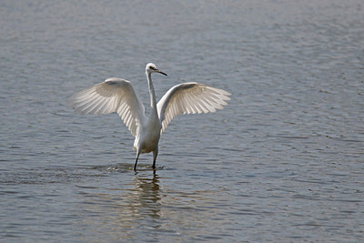 BUITEN BEELD Foto: 321862