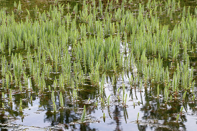 BUITEN BEELD Foto: 321870