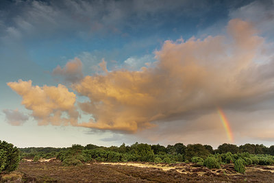 BUITEN BEELD Foto: 321879