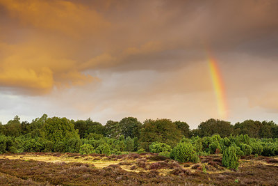 BUITEN BEELD Foto: 321880