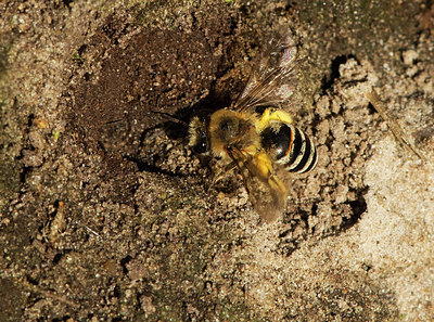 BUITEN BEELD Foto: 321910