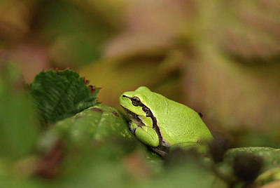 BUITEN BEELD Foto: 321936