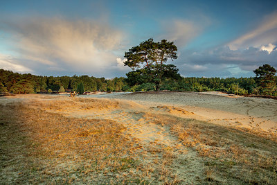 BUITEN BEELD Foto: 322012
