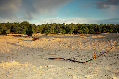 BUITEN BEELD Foto: 322013
