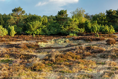 BUITEN BEELD Foto: 322014