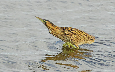 BUITEN BEELD Foto: 322023