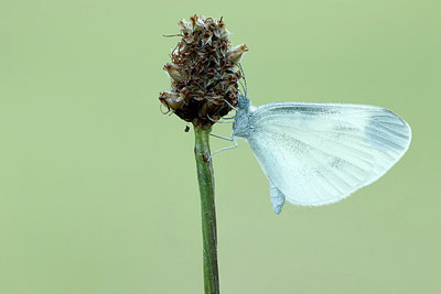 BUITEN BEELD Foto: 322054