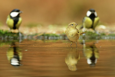 BUITEN BEELD Foto: 322071
