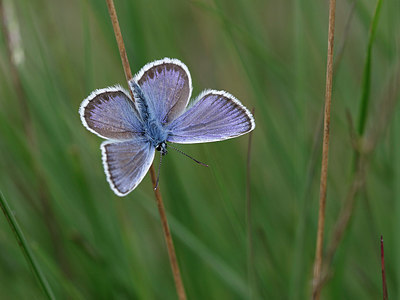 BUITEN BEELD Foto: 322258