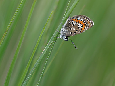 BUITEN BEELD Foto: 322260