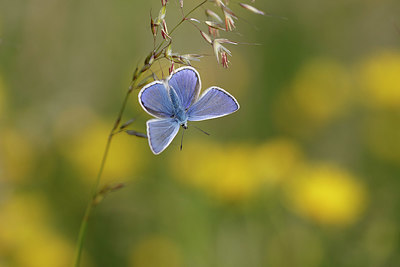 BUITEN BEELD Foto: 322270