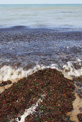 BUITEN BEELD Foto: 322294
