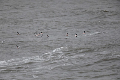 BUITEN BEELD Foto: 322350
