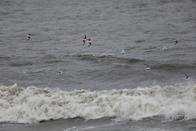 BUITEN BEELD Foto: 322351