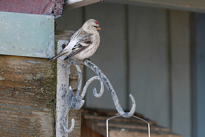 BUITEN BEELD Foto: 322360