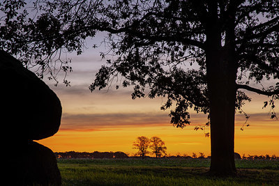 BUITEN BEELD Foto: 322384