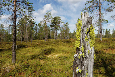 BUITEN BEELD Foto: 322397
