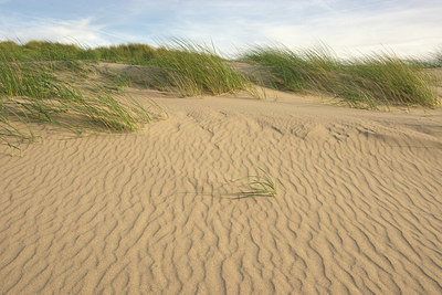 BUITEN BEELD Foto: 322411