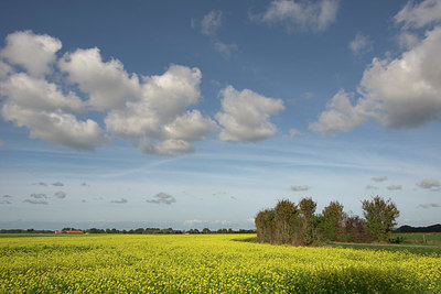BUITEN BEELD Foto: 322413
