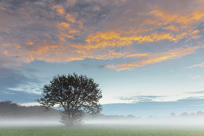 BUITEN BEELD Foto: 322425