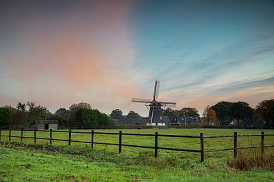 BUITEN BEELD Foto: 322428