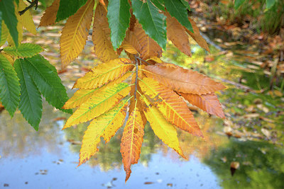 BUITEN BEELD Foto: 322442