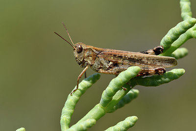BUITEN BEELD Foto: 322489