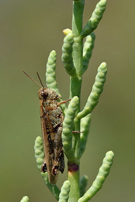 BUITEN BEELD Foto: 322491