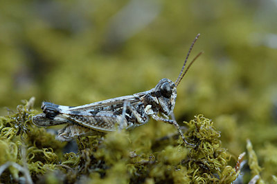 BUITEN BEELD Foto: 322495