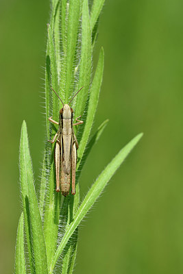 BUITEN BEELD Foto: 322545