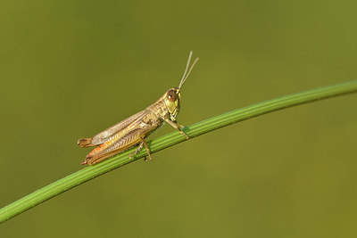 BUITEN BEELD Foto: 322593