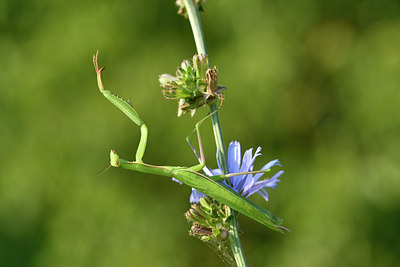 BUITEN BEELD Foto: 322599