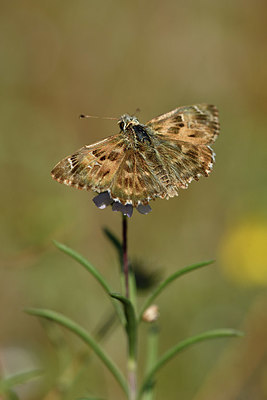 BUITEN BEELD Foto: 322654