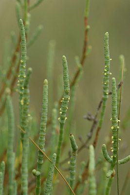 BUITEN BEELD Foto: 322716