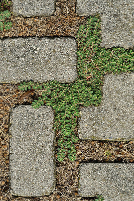 BUITEN BEELD Foto: 322721