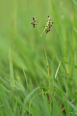 BUITEN BEELD Foto: 322746