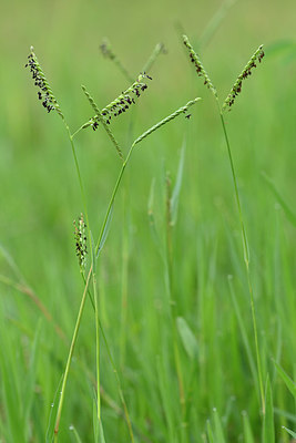 BUITEN BEELD Foto: 322748