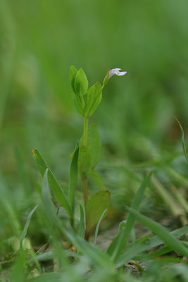 BUITEN BEELD Foto: 322749