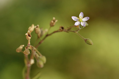 BUITEN BEELD Foto: 322786