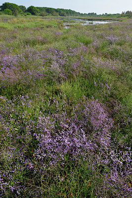 BUITEN BEELD Foto: 322903