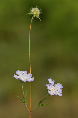 BUITEN BEELD Foto: 322915