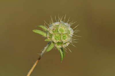 BUITEN BEELD Foto: 322916