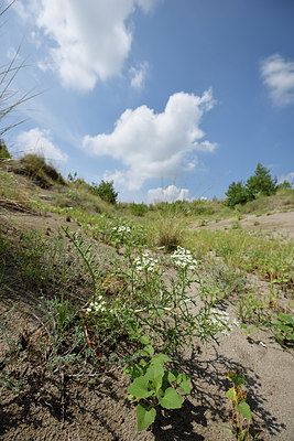 BUITEN BEELD Foto: 322929