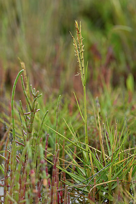 BUITEN BEELD Foto: 322970